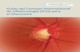 Guías del Consejo Internacional de Oftalmología (ICO) para ... · PDF fileIntroducción El glaucoma es la principal causa global de ceguera después de las cataratas. El glaucoma