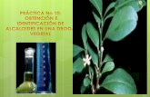 DETERMINACIÓN DE ALCALOIDESse638762735d982ca.jimcontent.com/download/version/1402911407/... · Los alcaloides constituyen el grupo más grande de metabolitos secundarios de plantas.
