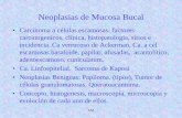 Neoplasias de Mucosa Bucal - ecaths1.s3.amazonaws.comecaths1.s3.amazonaws.com/anatomiapatologicaodontount/1233285363... · Neoplasias de Mucosa Bucal •Carcinoma a células escamosas: