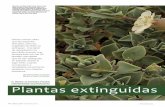Ejemplares de Silene uniflora subsp. thorei en · PDF file44 · Quercus 321 - Noviembre 2012 PLANTAS EXTINGUIDAS en España nocer bien la flora española, ya que todavía no se ha