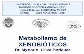 Metabolismo de XENOBIÓTICOS - Bioquímica fundamental · PDF fileMetabolismo de Xenobióticos ... •Los xenobióticos son transformados a moléculas inofensivas por medio de: Fase