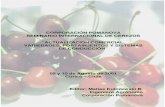 SEMINARIO DE CEREZOS 2001 - · PDF filecorporaciÓn pomanova seminario internacional de cerezos “actualizaciÓn comercial, variedades, portainjertos y sistemas de conducciÓn”