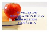 La regulación genética - Iniciosgpwe.izt.uam.mx/files/users/uami/cfmc/Bioquimica_III/Presentacion... · REGULACIÓN DE LA EXPRESIÓN GÉNICA A NIVEL POSTRADUCCIONAL ... • 1º