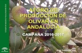 Aforo Olivar 2016-2017 - Junta de Andalucía · PDF fileC o n s e j e r í a d e A g r i c u l t u r a, P e s c a y D e s a r r o l l o R u r a l AFORO DE PRODUCCIÓN DE OLIVAR EN