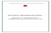ESTUDIO ORGANIZACIONAL. - · PDF fileEstudio Organizacional Proyecto: Producción y comercialización de pajillas 3 INTRODUCCIÓN. A continuación de presenta la propuesta organizacional