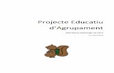 Projecte Educatiu - · PDF file3 1. INTRODUCCIÓ DEL PEA El que esteu començant a llegir ara mateix es defineix com a “PEA”, (Projete Eduatiu d’Agrupament) . Aquest document