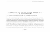 CAPÍTULO IX. CONFLICTOS, FAMILIAS Y MEDIACIÓN · PDF fileimportancia de apostar por modelos de gestionarlo más cooperativos, ... las partes, y, ... Las técnicas psiquiatricas de