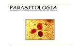 PARASITOLOGIA - edu.xunta. · PDF filefasciola hepatica huevo no embrionado fasciola hepatica adulto. taenia solium (t. del cerdo)