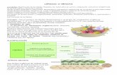 LÍPIDOS O GRASAS -   · PDF fileLÍPIDOS O GRASAS Los lípidos: Clasificación de los lípidos. ... Energía liberada al quemar 1g Grasas 9,4Kcal/g Glúcidos