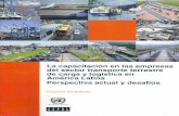 La capacitación en las empresas del sector transporte ... · PDF fileDocumento de proyecto Comisión Económica para América Latina y el Caribe (CEPAL) La capacitación en las empresas
