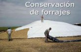Sitio Argentino de Producción Animal Conservación de ... · PDF fileEstabilización: pH: 3,5- 4,5 y Temperatura: 33 - 41ºC Sitio Argentino de Producción Animal 33 de 54. Sitio