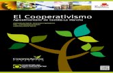 El Cooperativismo · PDF fileSocioeconómico del Cooperativismo Agroalimentario de Castilla-La Mancha ... ganadero. Servicios 11 Frutos secos 34 Piensos 35 Ganadería Frutas y hortalizas