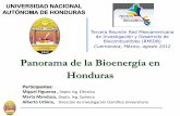 Panorama de la Bioenergía en Honduras - olade. · PDF filePanorama de la Bioenergía en Honduras Participantes: Miguel Figueroa , Depto Ing. Eléctrica Marta Mendoza, Depto. Ing.