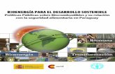 BIOENERGÍA PARA EL DESARROLLO  · PDF fileBIOENERGÍA PARA EL DESARROLLO SOSTENIBLE Políticas Públicas sobre Biocombustibles y su relación con la seguridad alimentaria