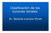 Clasificación de los tumores renales - · PDF file•3p14.2 (FHIT •3p.12 ... Pérdida del cromosoma Y ... CAM 5.2 y CK7 45%, Vimentina 63%, CD 10 y RCC 100%, EMA 45 %. TUMORES RENALES