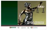 Nuevo Sistema de Justicia Penal -  · PDF fileaporta información que contribuye al esclarecimiento del delito u otros relacionados. 3.5 Debido proceso