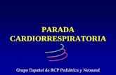 Grupo Español de RCP Pediátrica y Neonatal - mural.uv.esmural.uv.es/pacsi/recursos/ecoe/RCP_conceptos_y_prevencion.pdf · PARADA RESPIRATORIA O APNEA: Cese de la respiración espontánea.