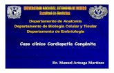 Departamento de Biología Celular y Tisular Departamento · PDF filePresentación del casoPresentación del caso Paciente femenina de 6 años de edad, procedente de Chilapa, Gro.,