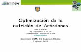 Optimización de la nutrición de Arándanos - irrifer.cl arandanos CD Guzman Mex.pdf · DISOLUCION NUTRITIVA PARA ARANDANOS . Micronutriente ppm Fe 2,00 Mn 0,80 Zn 0,20 Cu 0,05 ...