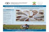 Boletín informativo de la representación de la FAO en ... · PDF fileEn el año 2015 la comunidad internacional decidirá las líneas de trabajo en que desea poner parti-cular énfasis