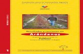 Resultados y Lecciones en Arándanos - opia.cl · PDF fileen la realización de este trabajo, agradecemos sinceramente la colaboración de los productores, técnicos y profesionales