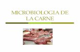 MICROBIOLOGIA DE LA CARNE - Agroindustria, · PDF fileMICROBIOLOGIA DE LA CARNE. La carne se define como la porción comestible de canales bovinos, borregos, cabras, cerdo y caballo;
