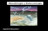 Microbilogía y Biotecnología · PDF fileProcariotas - Arqueobacterias ... La incorporación de la ingeniería genética permite optimizar ... producto (modificar el control de vías