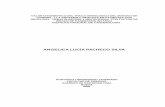 ANGELICA LUCÍA PACHECO SILVA - · PDF file4.2 PREGUNTAS DE INVESTIGACIÓN 18 ... pacientes con neoplasias hematolinfoides y neutropenia con factor de riesgo de adquirir Candidasis