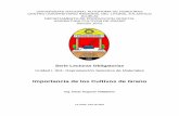 Importancia de los Cultivos de Grano - Curlacavunah's Blog · PDF fileAgraria y Alimentaria (INIA/España), EMBRAPA/Brasil, MT, Cuenta de Desafío del Milenio (MCA), Centro Internacional
