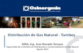 Distribución de Gas Natural - · PDF fileNTP 111.021- Distribución de gas natural Seco por Tuberías de Polietileno. REGLAMENTO ... APLICACIÓN DE LA NORMA TÉCNICA PERUANA NTP 111.011