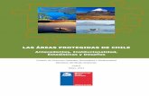 LAS ÁREAS PROTEGIDAS DE CHILE · PDF fileMinisterio del Medio Ambiente, 2011 2 Antecedentes ... sector privado ha comenzado a aportar en esta tarea mediante iniciativas de