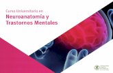 Curso Universitario en Neuroanatomía y Trastornos Mentales · PDF fileDirector de los Centros de Evaluación y Psicoterapia de Talavera, Bilbao y Madrid. ... Especialista en Hipnosis