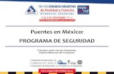 Puentes en México: PROGRAMA DE · PDF filede Puentes de la SCT (SIPUMEX), con modelos de deterioro, ... Puentes Tipo y puentes Especiales. Diseño de pruebas y técnicas de evaluación