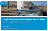 BioteQ: Recuperación de Valor de Residuos Mineros y · PDF fileAcopios de relaves Botaderos de ripios de lixiviación. Minerales de baja ley, Estériles, Botaderos de escoria. | 3
