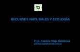 RECURSOS NATURALES Y ECOLOGÍA · PDF file1940 Javier Pulgar Vidal Las Ocho Regiones Naturales del Per ... más altas de los Andes centrales y del norte, y están caracterizados por