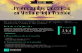 Protecciones Eléctricas en Media y Baja Tensión - ieb.co · PDF filepara el manejo de las protecciones de media y baja tensión utilizadas en las instalaciones del ... Coordinación
