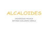 ALCALOIDES - · PDF file• Precipitan con ciertos reactivos. ALCALOIDES: características ... En el vegetal, los alcaloides se encuentran formando combinaciones ... Con agua en medio
