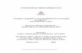 UNIVERSIDAD IBEROAMERICANA “Ventaja Competitiva ... · PDF file“Ventaja Competitiva: Sustentabilidad de la estrategia ... Creían que la clave para la expansión de Krispy Kreme