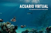 ACUARIO VIRTUAL - virtualwaregroup.comvirtualwaregroup.com/sites/default/files/acuariovirtual.pdf · 3 SOFTWARE Más de 20 especies marinas incluidas en el acuario virtual Sumergidos
