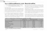 La viticultura en Australia - DIGITAL.CSIC: Homedigital.csic.es/bitstream/10261/44924/1/Vilanova - La viticultura... · ECONOMÍA VITIVINÍCOLA 4326 “Sevi”N.º 3097 17-12-2005