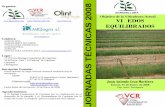 AGROMILLORA Objetivo de la Viticultura Actual VIÑEDOS ...ruralcat.gencat.cat/migracio_resources/668765_programa capsanes.pdf · Objetivo de la Viticultura Actual VIÑEDOS EQUILIBRADOS