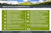 BOLETIN AMBIENTAL - · PDF filela Selva y Ceja de Selva, ... Proyectos de Inversión sujetos al Sistema Nacional de Evaluación de Impacto Ambiental ... a proyectos integrales de agua