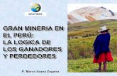 Gran mineria en peru …cajamarca.de/mine/arana-mineria.pdf · Porcentaje de oro producido con lixiviación de cianuro: ... desvinculada de la actividad económica local. Sin ...