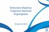 Estructura Orgánica Coparmex Nacional Organigramacoparmex.org.mx/downloads/transparencia/78/01/... · 11 Alejandro Becker Del Río 31 Gustavo De Hoyos ... 93 José Rafael Palomeque