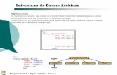 Estructura de Datos: Archivos - exa.unne.edu.arexa.unne.edu.ar/informatica/programacion1/public_html/archivos/... · En Pascal estándar, se abren los archivos referenciando su nombre