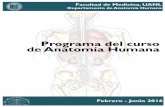 Programa del curso de Anatomía Humana - · PDF filePágina web: PROFESORADO El personal docente del Departamento de Anatomía Humana debe ser ejemplar y respetuoso para el alumnado,