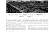 · PDF fileLas rotaciones de cultivos en el huerto Texto: Mariano Bueno Bosch En fecha reciente hemos editado con el autor de este artículo el libro "Manual práctico