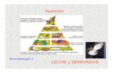 Presentación de PowerPoint - Agroindustria, Gastronomía · PDF fileCarbohidratos... Lactosa: el más abundante.....y el menos variable. Características de la lactosa... l En la