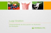 Luigi Gratton - · PDF fileinfluencial sobre la obesidad. Herbalifeline se lanza, 20 años antes del conocimiento ... Carbohidratos para proveer al cuerpo la principal fuente de energía