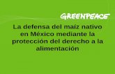 La defensa del maíz nativo en México mediante la ... · PDF file•Alimento básico que provee carbohidratos •Elemento central de las dietas de consumidores urbanos y rurales ...